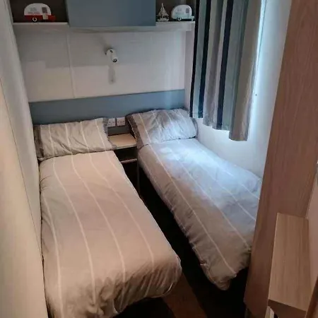 14 Atlas Ruby Cherry Tree منتزه العطل *