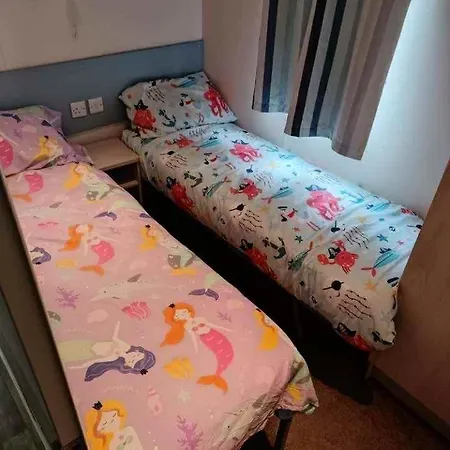 14 Atlas Ruby Cherry Tree منتزه العطل