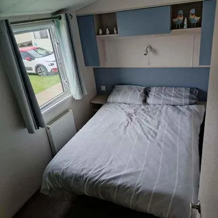 14 Atlas Ruby Cherry Tree منتزه العطل Gristhorpe