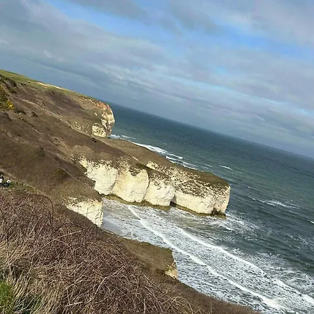 منتزه العطل 14 Atlas Ruby Cherry Tree Gristhorpe